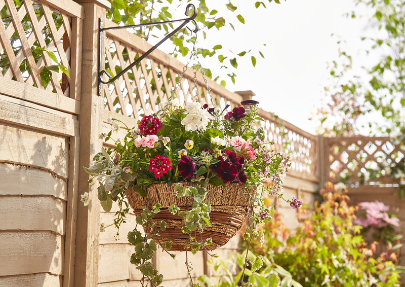 Hanging basket