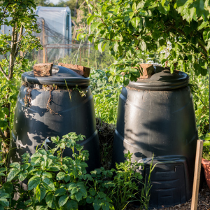 compost pile 