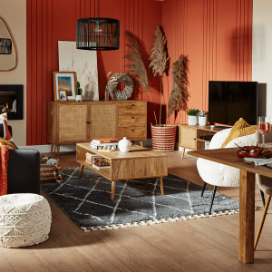 an image of an orange wall panel living room with wooden furnishings and a grey rug 