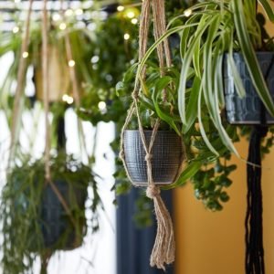 an image of hanging potted plants 