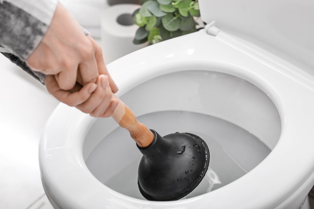 an image of someone unblocking a toilet