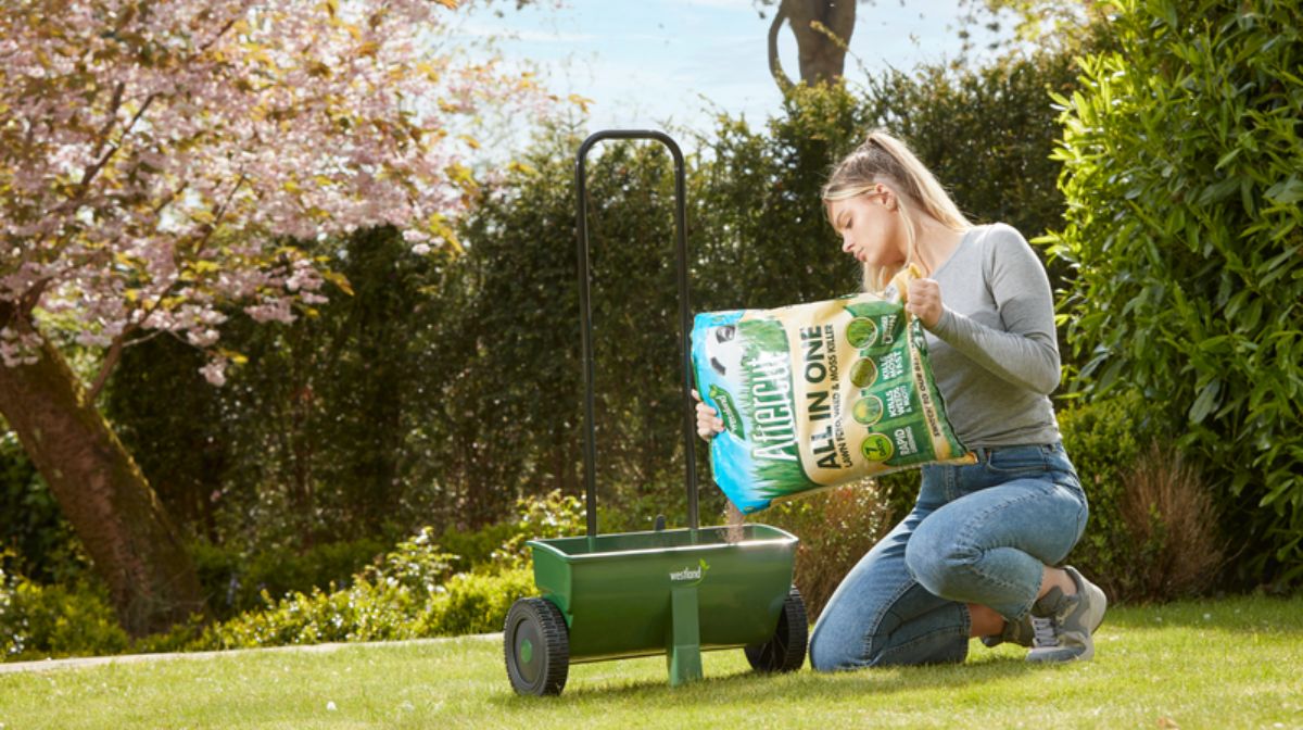 Lawn Repair Tips