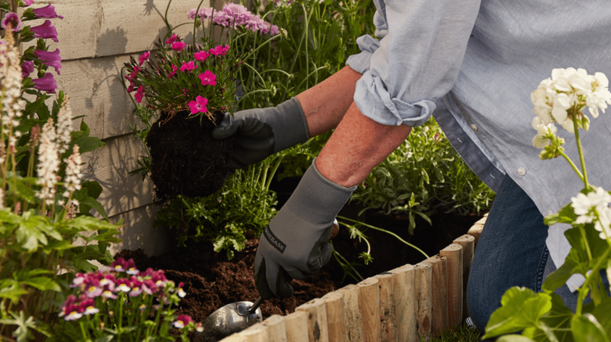 how to create a low maintenance garden