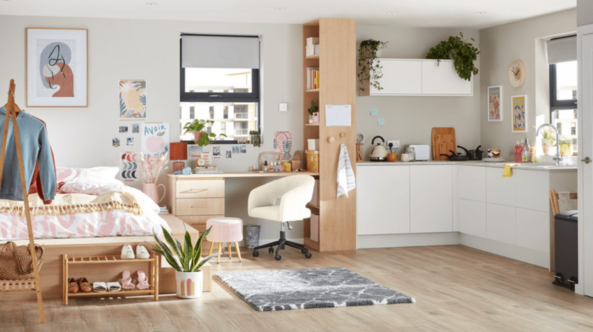 Clean studio apartment decorated with plants, posters and a rug.
