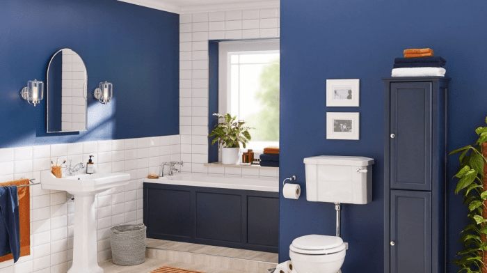 Design Ideas for a Blue Bathroom