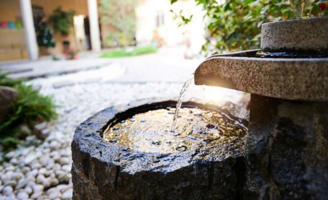 A close-up of garden water feature in a sunny garden