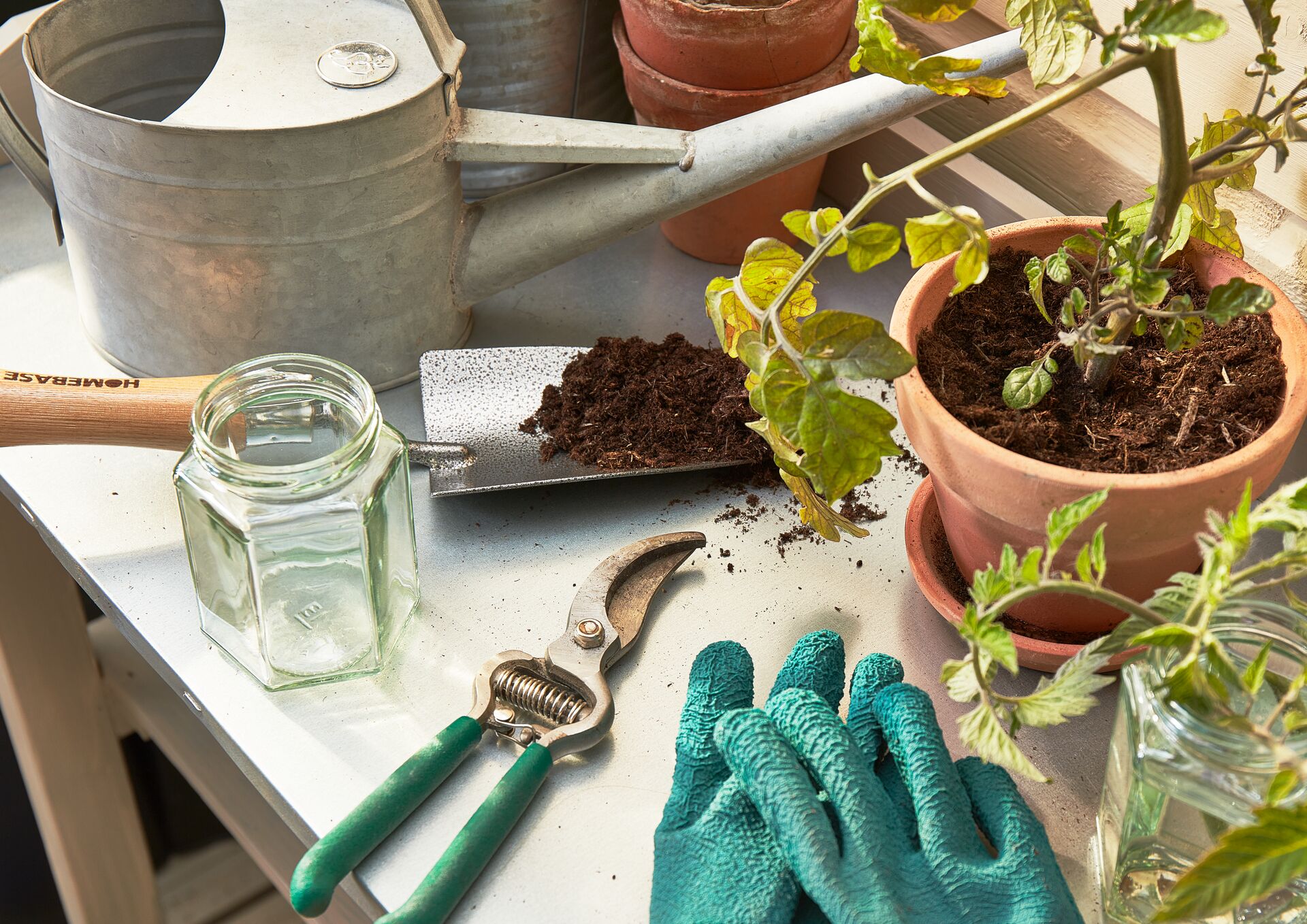 Various planting items on a greenhouse table including a potted plant, trowel, watering can and gardening gloves.