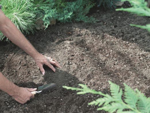 A person using a garden trowel to work a patch of soil and compost in a garden