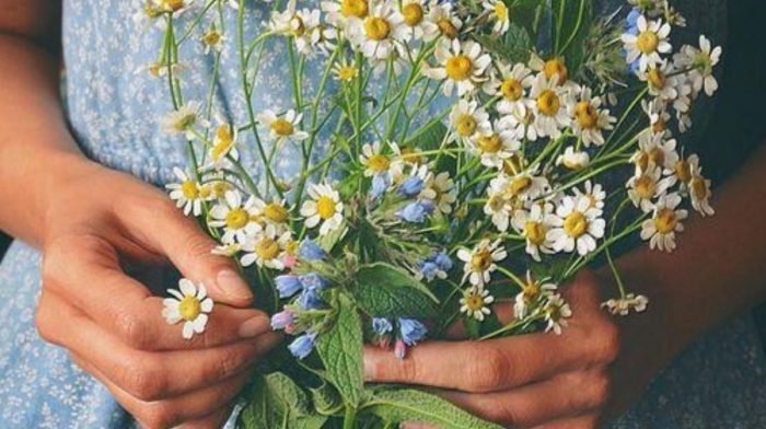 Why We're Crazy For Chamomile And Its Skin Benefits