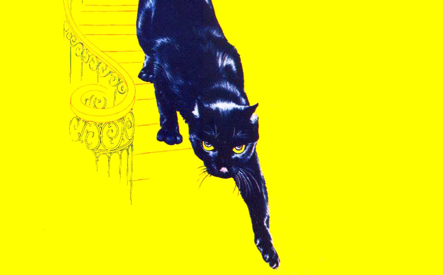 Saul Bass’s Black Cat Walks on the Wild Side