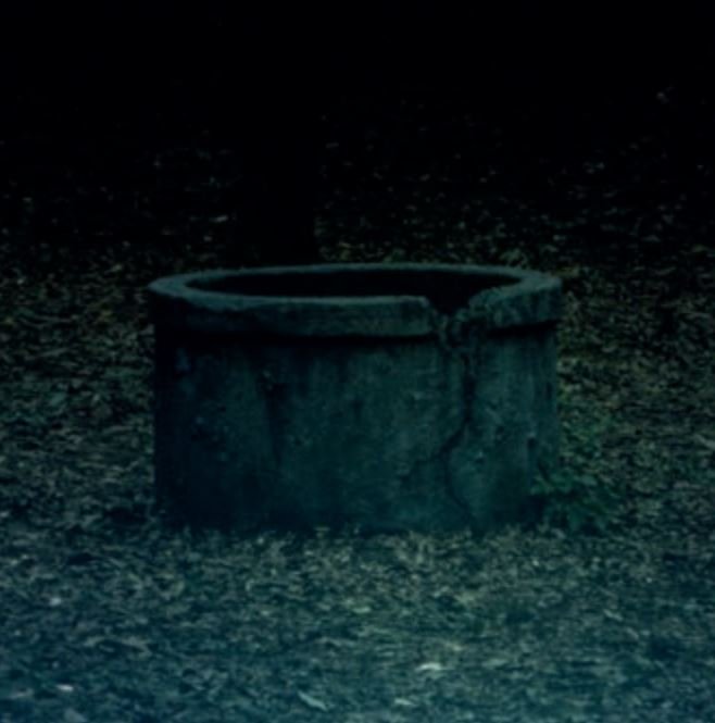 The well from Ring (1998)