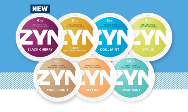 ZYN Cool Mint Nicotine 3mg Pouches Snuff Alternative Smoker Aid No Tobacco  1 Can