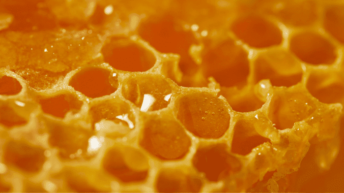 Quelles sont les vertus du miel et autres trésors de la ruche ?