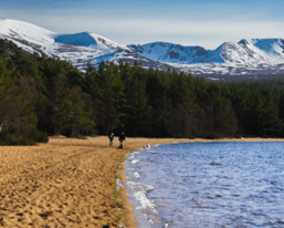 winter swimming idea 5