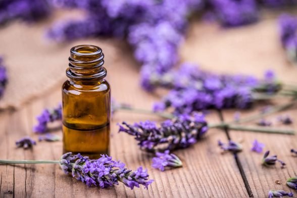 6 Reasons to Use Lavender Oil for Skin