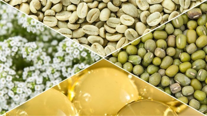 9 Top Anti-Ageing Ingredients in Natural Skin Care