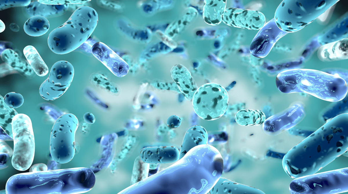 Batteri al microscopio. SFI ha ufficialmente lanciato la linea di probiotici Ther-Biotic di Klaire Labs atl congresso mondial della medicina 
