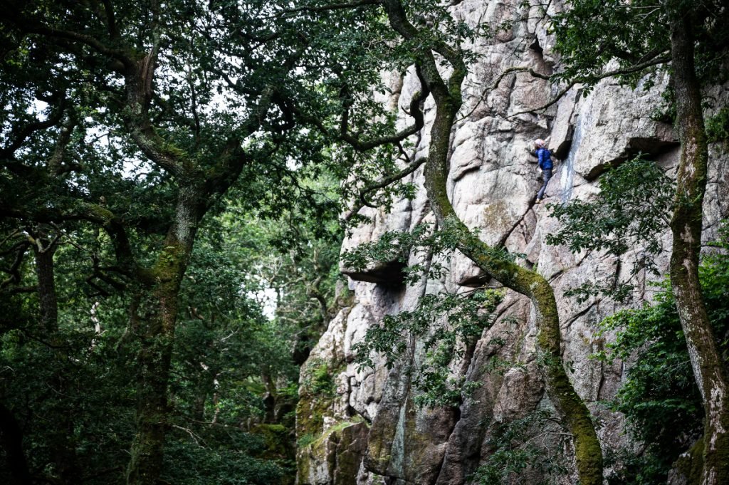 Climber is just visible as he ascends rock face