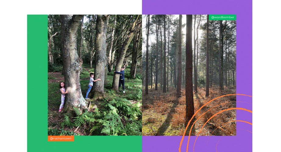 Children hug trees in sunshine