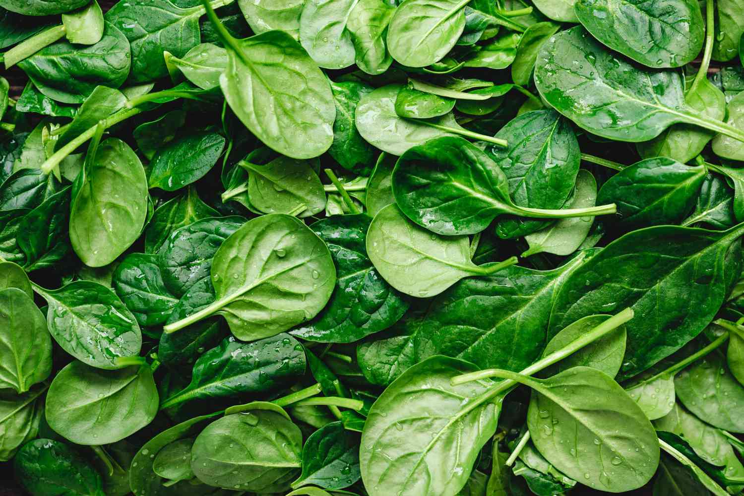 Mélange Green Superfood | Avantages, Dosage Et Mode D’Emploi