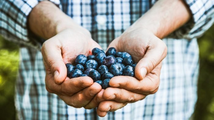 What are antioxidants and how can I eat more?