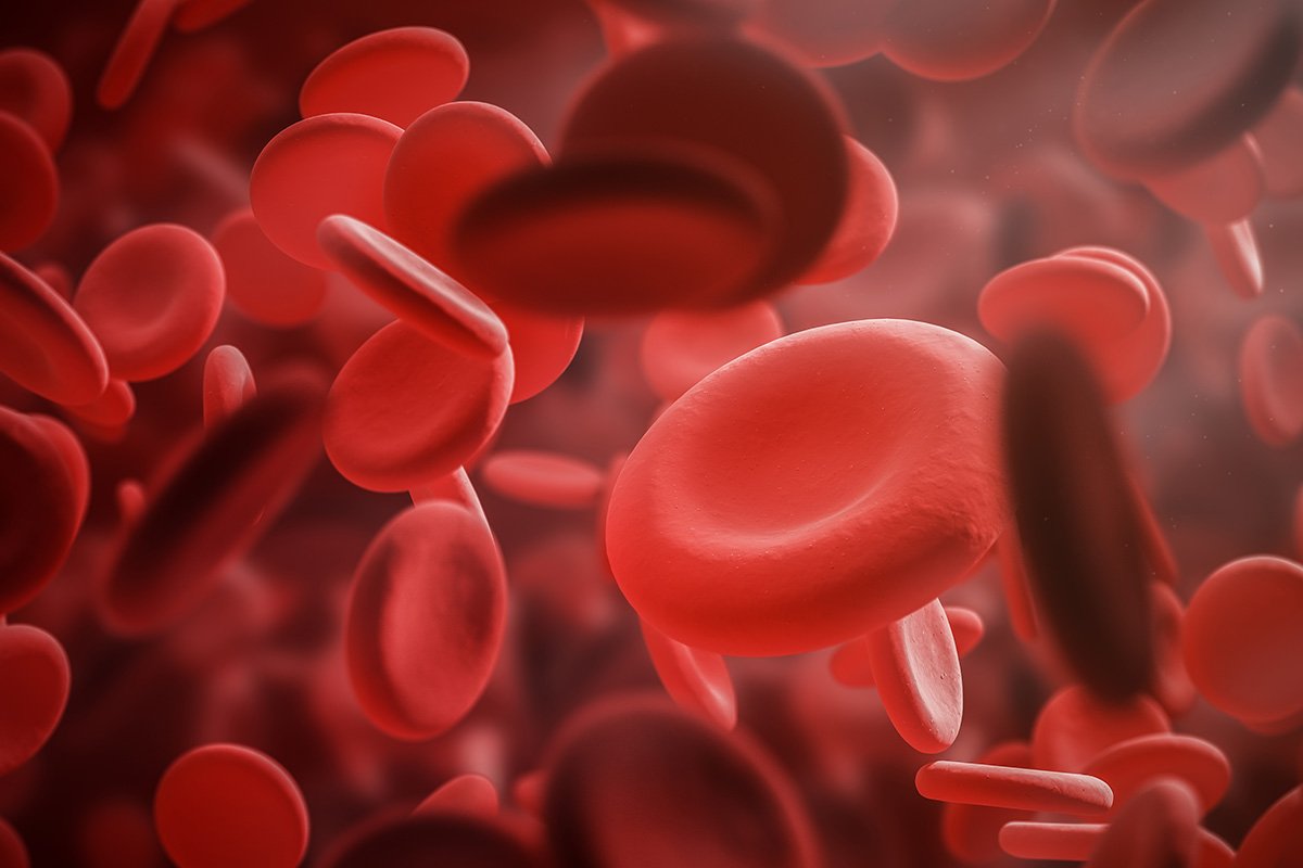 Close up of red blood cells