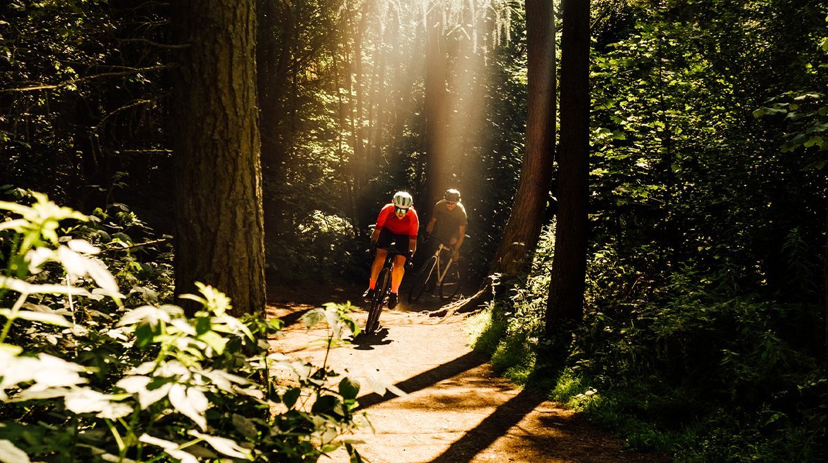 Cyclists head through a dark woods, lit by streams of sunlight in Endura cycling gear