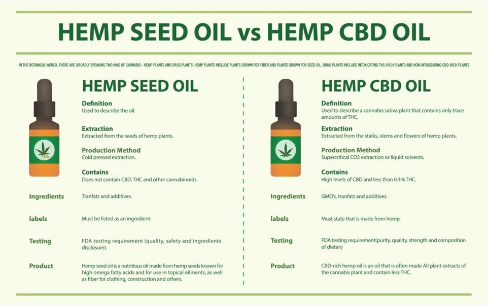 CBD oil vs hemp seed oil in the beauty world 