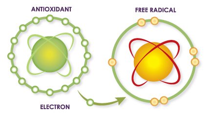 Free radical atoms
