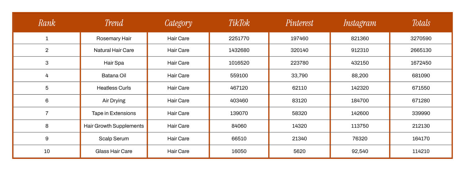 A white and burnt orange table listing the top 10 best hair care trends of 2024 showing the total social searches of each.