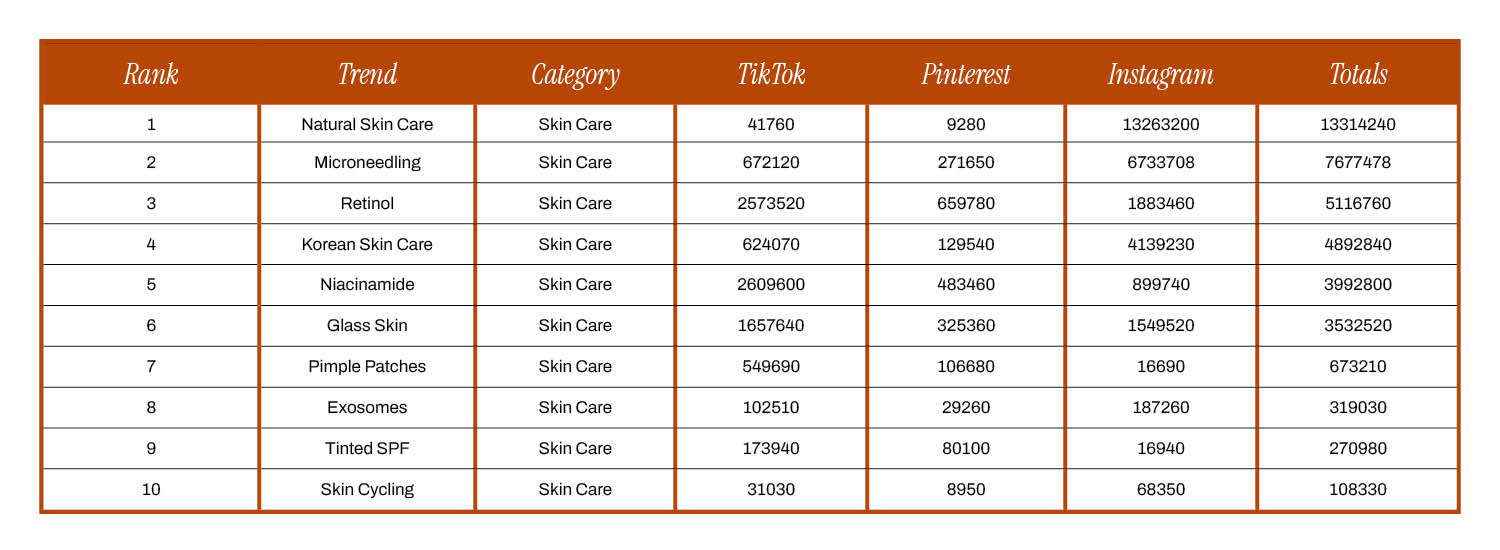 A white and burnt orange table listing the top 10 best skin care trends of 2024 showing the total social searches of each.