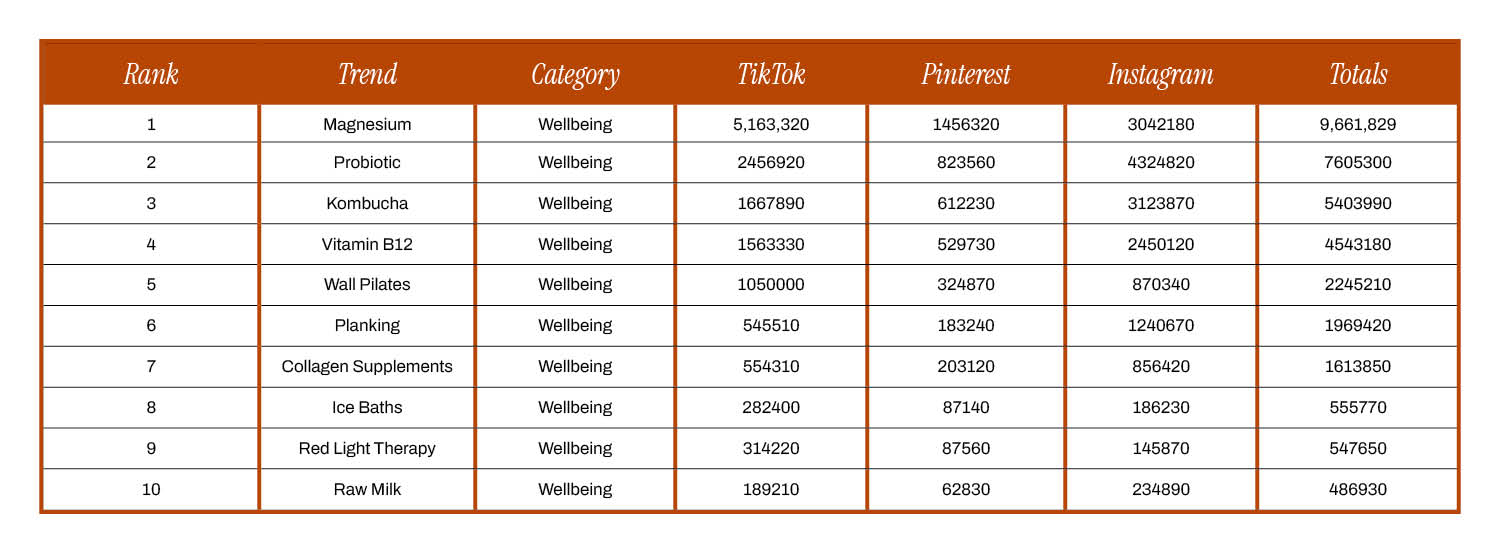 A white and burnt orange table listing the top 10 best body and wellbeing trends of 2024 showing the total social searches of each.