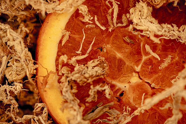a close up image of a orange in saturated colouring, in a studio setting.