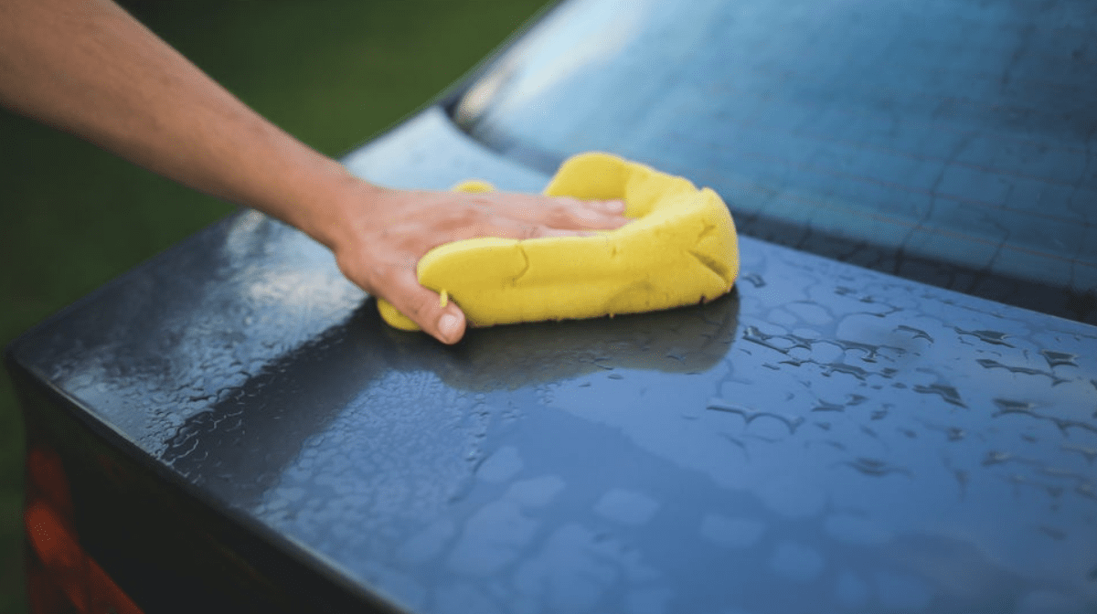 How to Get Bird Poop Off Your Car Easily | Car Gods