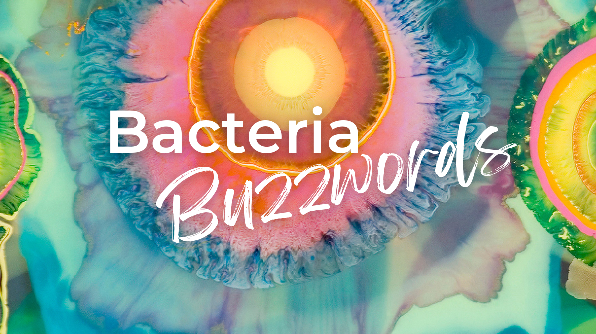 Bacteria Buzzwords