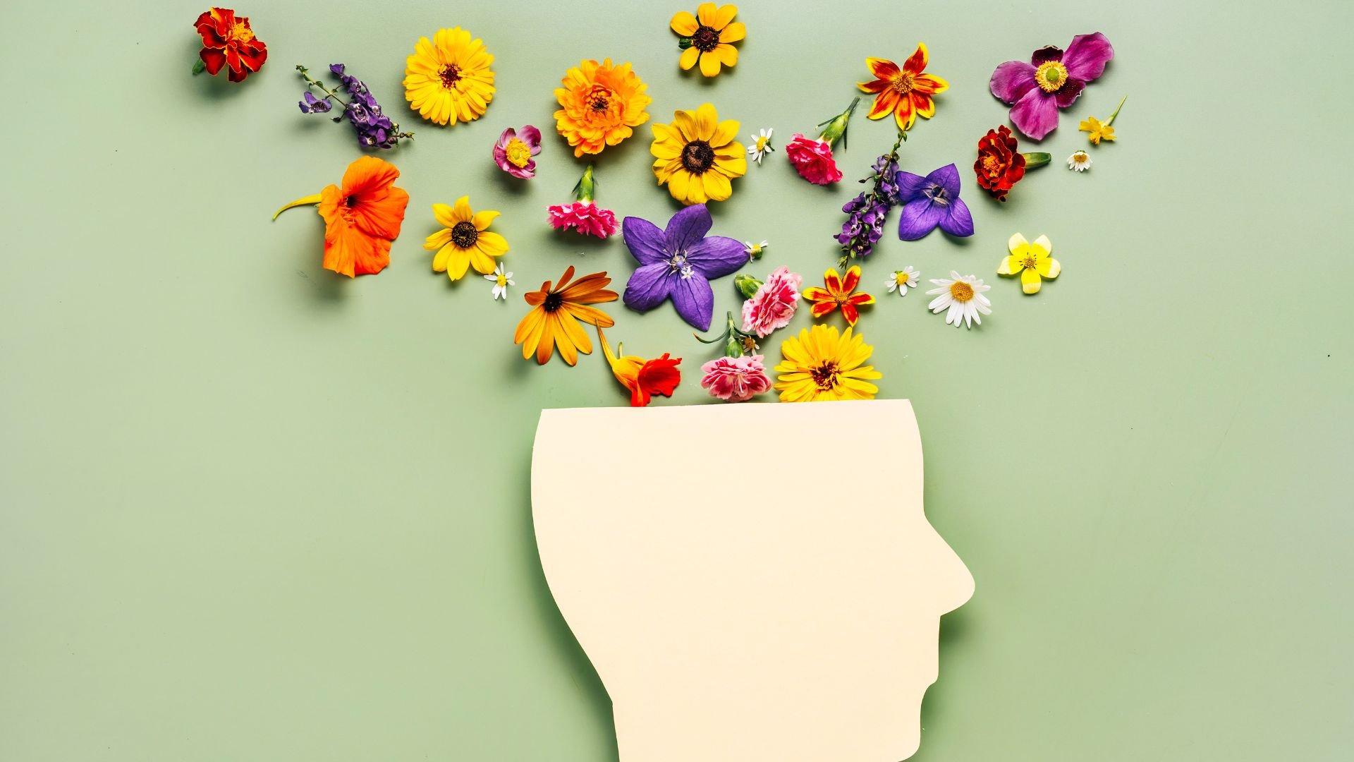 The Gut-Brain Axis: How Your Gut Health Could Support a Healthy Mind Blog