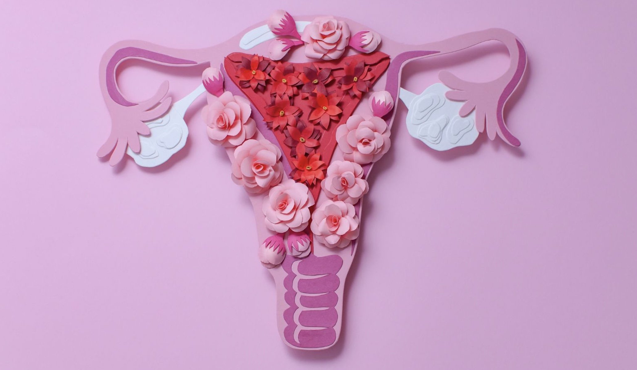 The Importance of Self-Care: A Guide to Maintaining Vaginal Health