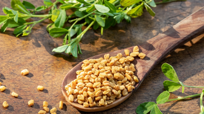Fenugreek And Weight Loss: Can It Help You To Lose Weight?