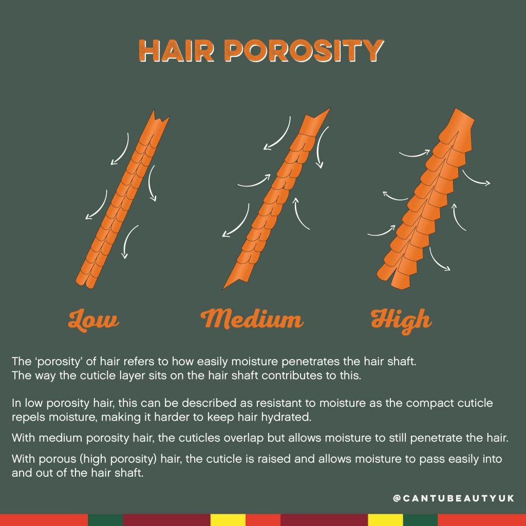 What Is Porosity Hair Test At Chris Schultz Blog