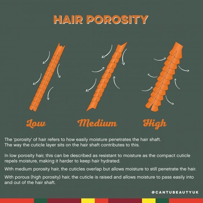 Everything You Wanted to Know About Hair Porosity - CurlsandBeautyDiary