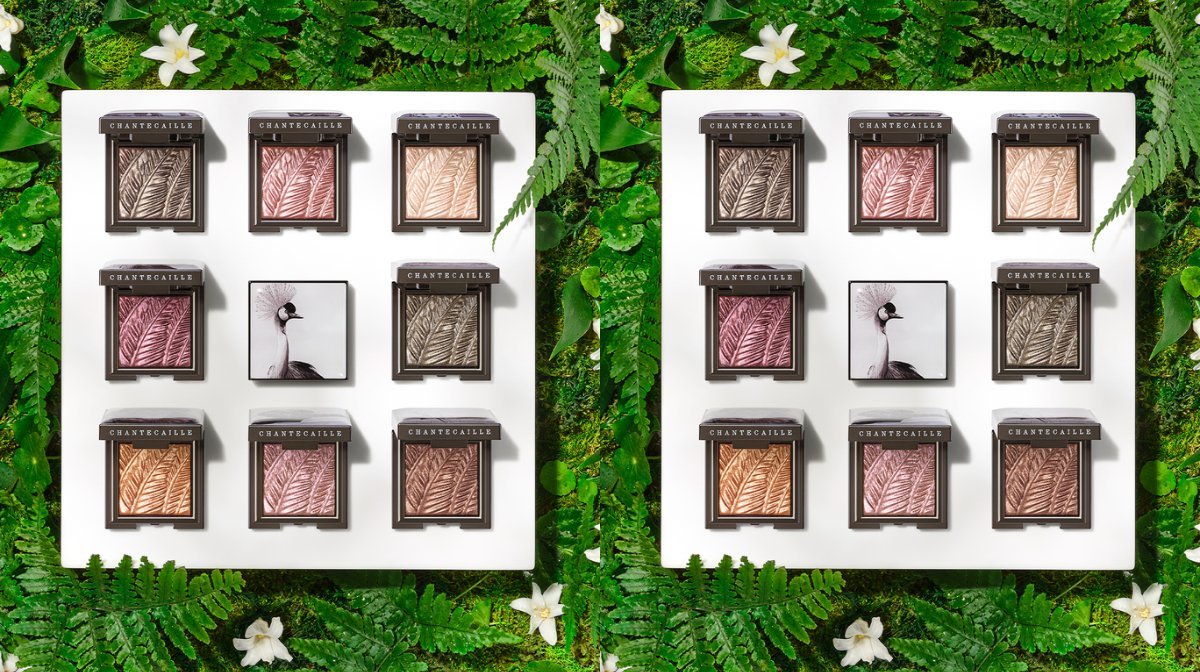 Conscious eyeshadow collections that support wildlife conservation