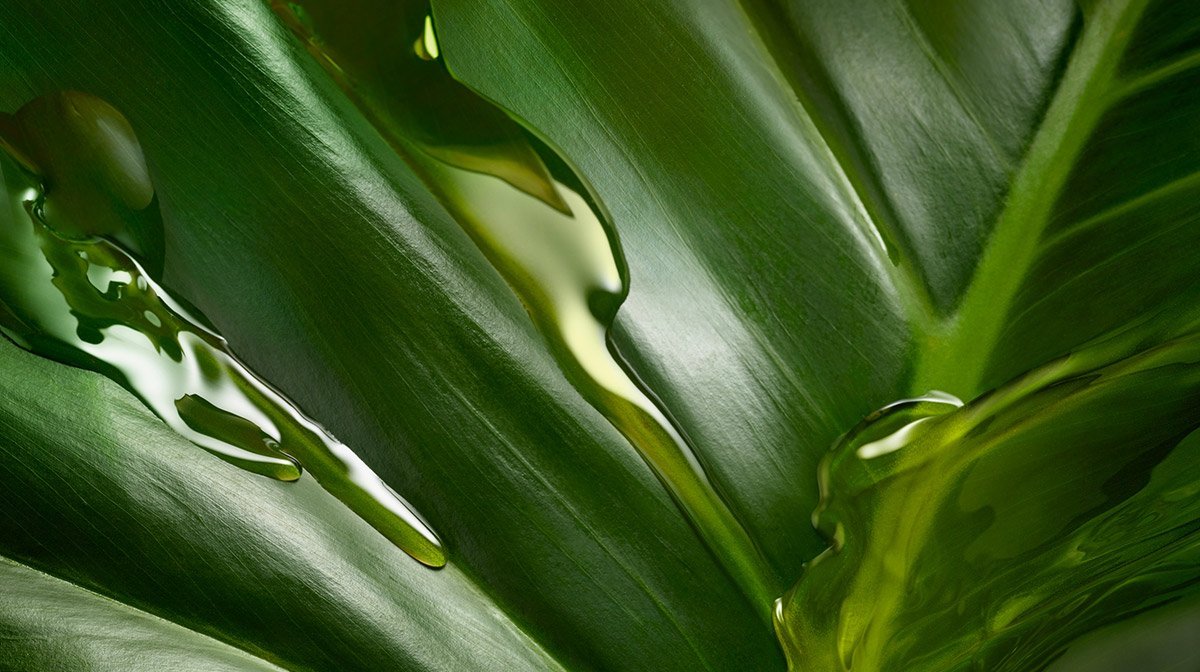 Organic, natural or vegan cosmetics: what are the differences?
