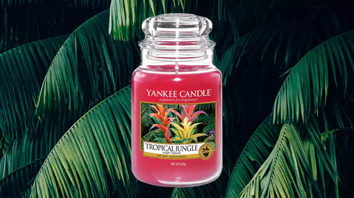 Yankee Candle – Is It Worth The Hype?