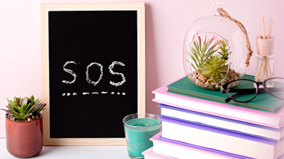 Homeschooling SOS – Tips & Tricks To Best Support Your Bubble
