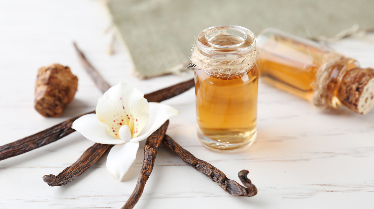 The Best Vanilla Perfumes for Every Occasion