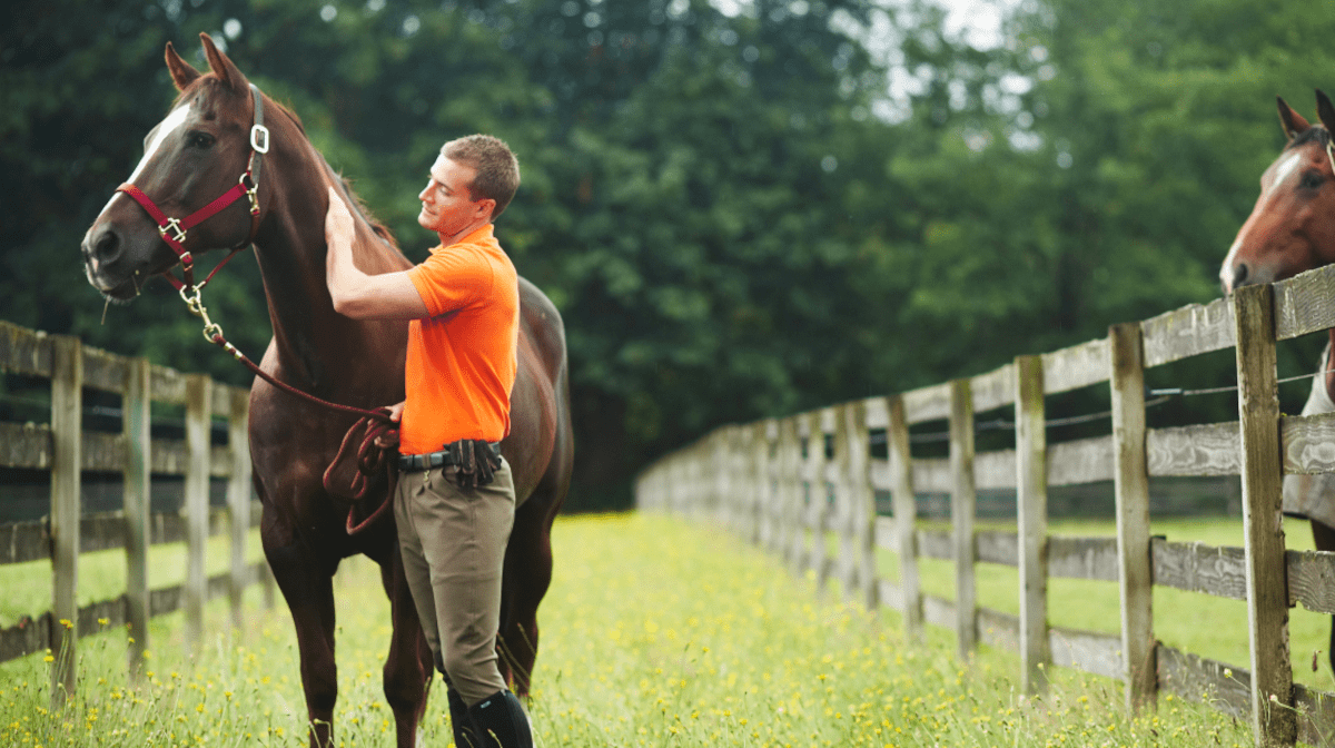 Equine First-Aid Guide: What You Need to Know