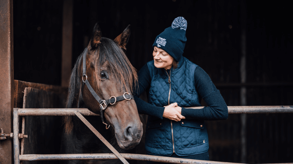 Winter Care Tips for Older Horses