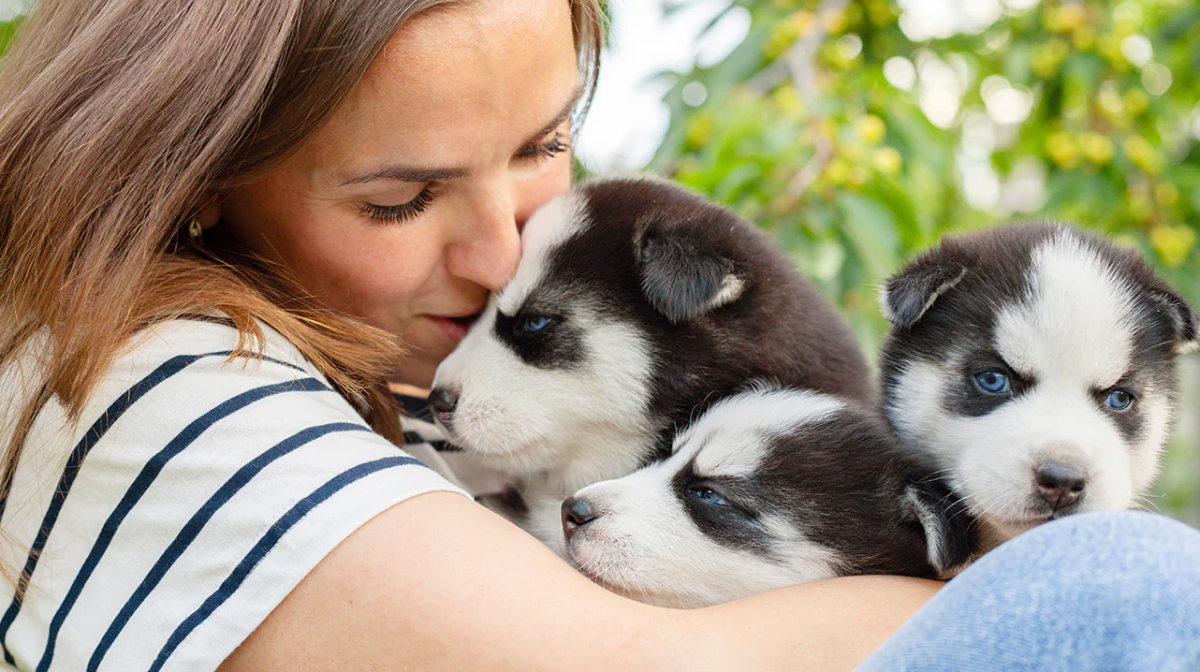 How to Become a Dog Breeder? Tips for First Time Breeders