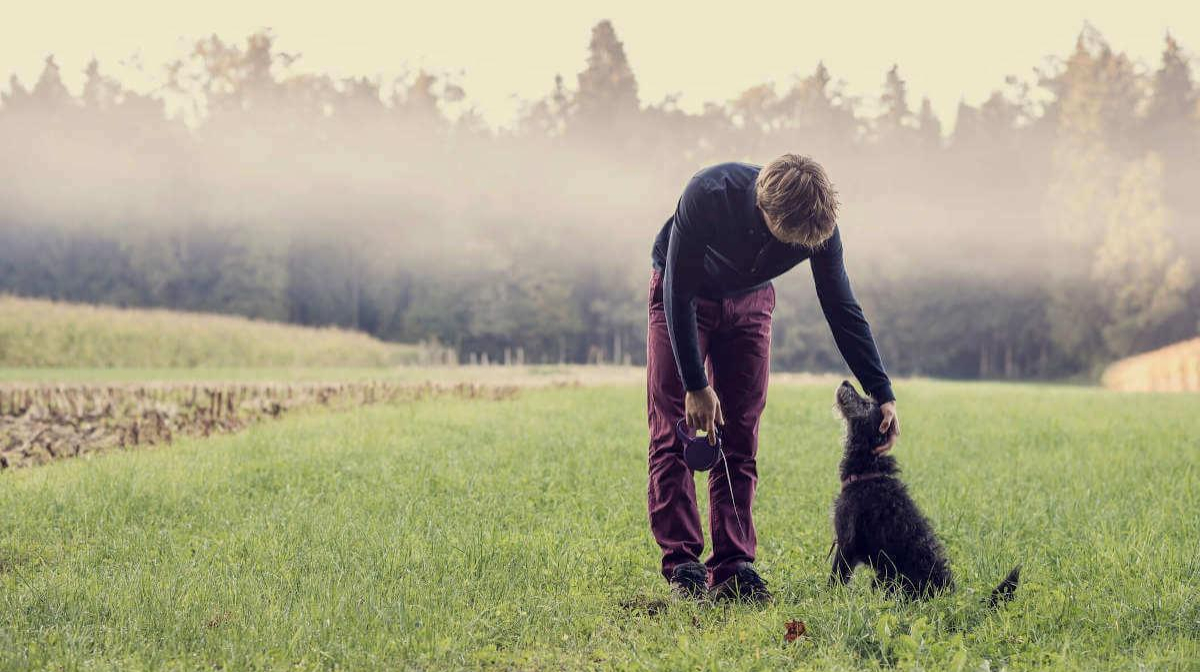 How owning a dog can boost health and wellbeing