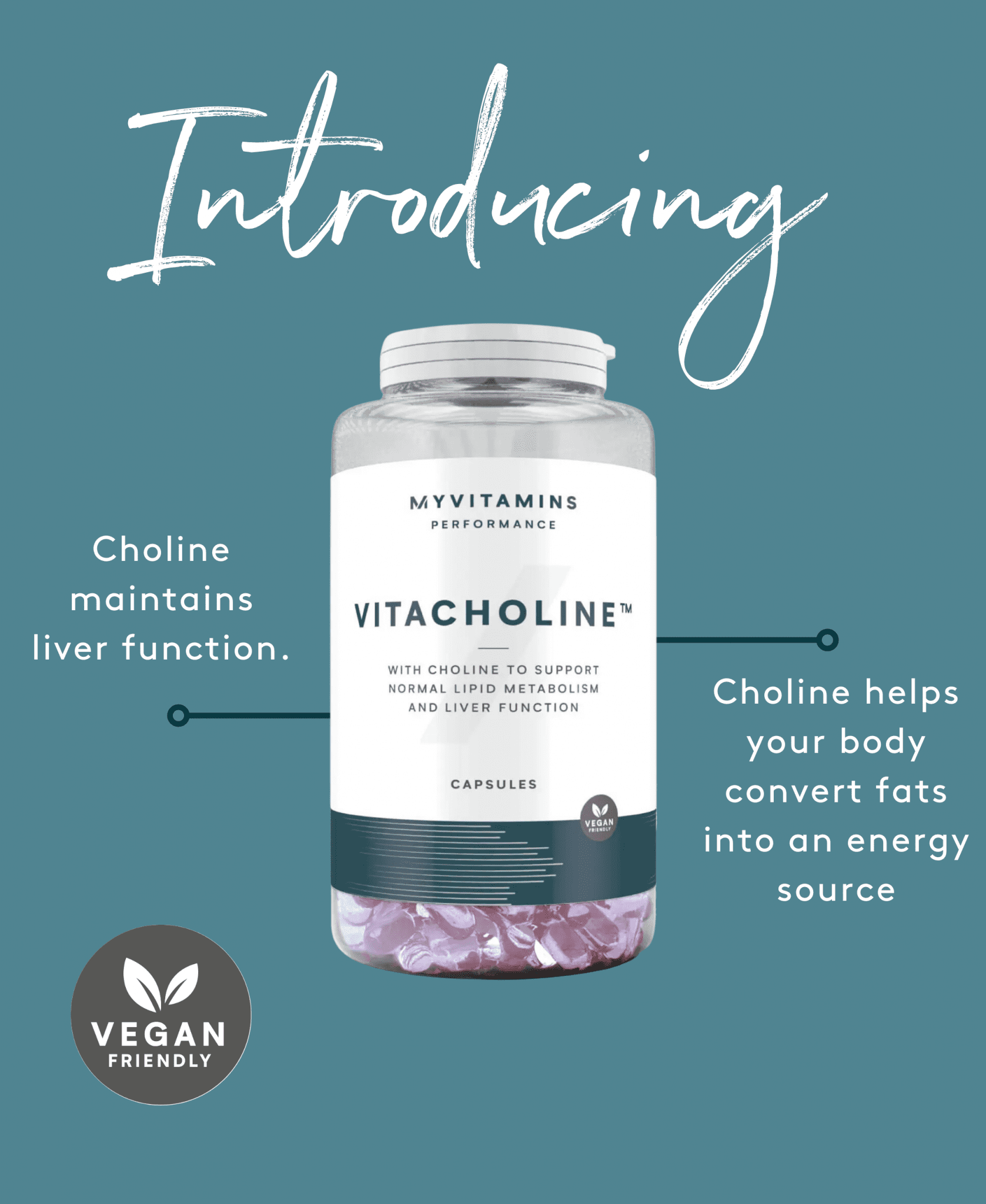 What Is Vitacholine and What Does It Do? - myvitamins